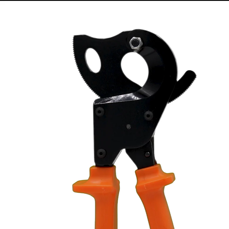 Thumbnail 21